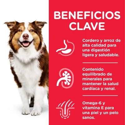 Beneficios clave: cordero y arroz de alta calidad para digestión ligera, minerales equilibrados para salud cardíaca y renal, omega-6 y vitamina E para piel y pelo sanos.