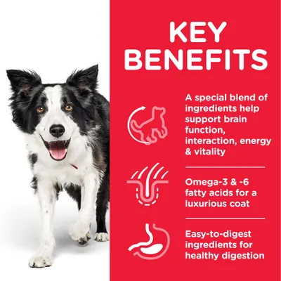 KEY BENEFITS: A special blend of ingredients help support brain function, interaction, energy & vitality. Omega-3 & -6 fatty acids for a luxurious coat. Easy-to-digest ingredients for healthy digestion. Teksti englanniksi.