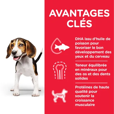 AVANTAGES CLÉS : DHA issu d’huile de poisson pour le développement des yeux et du cerveau, minéraux équilibrés pour os et dents solides, protéines de haute qualité pour la croissance musculaire.
