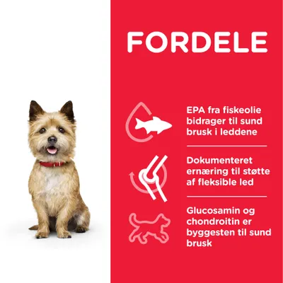 FORDELE: EPA fra fiskeolie bidrager til sund brusk i leddene. Dokumenteret ernæring til støtte af fleksible led. Glucosamin og chondroitin er byggesten til sund brusk.