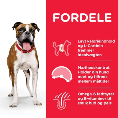 FORDELE: Lavt kalorieindhold og L-Carnitin fremmer idealvægten. Mæthedskontrol. Holder din hund mæt og tilfreds mellem måltider. Omega-6 fedtsyrer og E-vitaminer til smuk hud og pels.