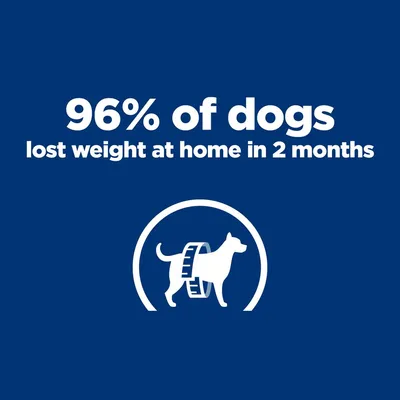 96% of dogs lost weight at home in 2 months (angol nyelvű szöveg) fehér kutya ikon mérőszalaggal kék háttéren