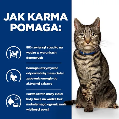 Jak karma pomaga: 88% zwierząt straciło na wadze w warunkach domowych, utrzymanie masy ciała i energii, łatwa utrata masy bez ograniczania porcji. Obok kot w obroży.