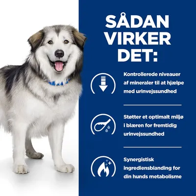 SÅDAN VIRKER DET: Kontrollerede niveauer af mineraler til at hjælpe med urinvejssundhed. Støtter et optimalt miljø i blæren. Synergistisk ingrediensblanding for din hunds metabolisme.