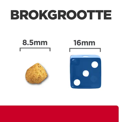 Brokgrootte: afbeelding van een brok van 8,5 mm naast een dobbelsteen van 16 mm ter vergelijking.