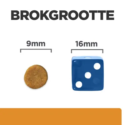 Brokformaat: brok van 9 mm naast een dobbelsteen van 16 mm ter vergelijking. Tekst 'BROKGROOTTE' bovenaan, maten duidelijk aangegeven.