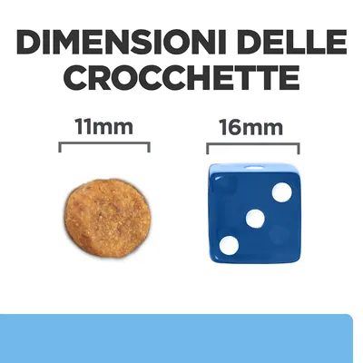 Dimensioni delle crocchette: diametro 11 mm, confronto con dado blu da 16 mm. Testo visibile: 'DIMENSIONI DELLE CROCCHETTE', '11 mm', '16 mm'.