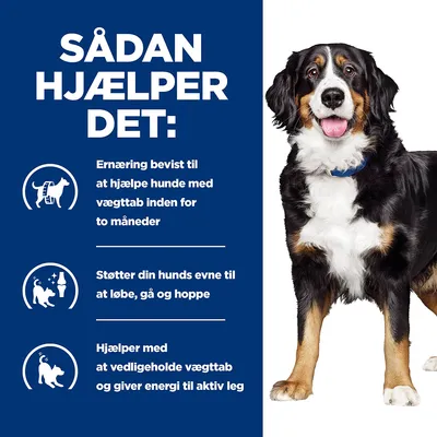 SÅDAN HJÆLPER DET: Ernæring bevidst til at hjælpe hunde med vægttab inden for to måneder. Støtter din hunds evne til at løbe, gå og hoppe. Hjælper med at vedligeholde vægttab og giver energi til aktiv leg.