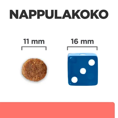 Nappulakoko: vasemmalla nappula, halkaisija 11 mm; oikealla sininen noppa, sivun pituus 16 mm. Vertailu auttaa hahmottamaan nappulan koon.