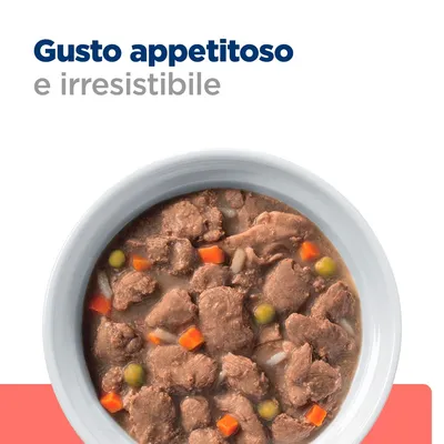 Testo: Gusto appetitoso e irresistibile. Ciotola bianca con bocconi di cibo umido, visibili pezzi di carne, carote e piselli.