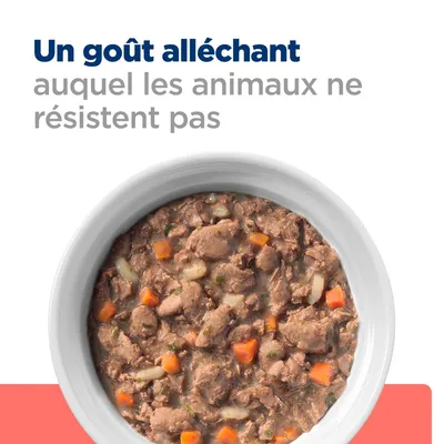 Texte visible : « Un goût alléchant auquel les animaux ne résistent pas » au-dessus d’une gamelle de pâtée avec morceaux de viande, carottes et légumes.