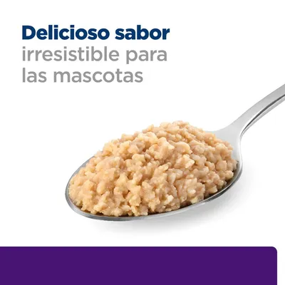 Delicioso sabor irresistible para las mascotas. Imagen de una cuchara con comida húmeda para mascotas.