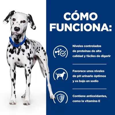 CÓMO FUNCIONA: Niveles controlados de proteínas de alta calidad y fáciles de digerir. Favorece unos niveles de pH urinario óptimos y es bajo en sodio. Contiene antioxidantes, como la vitamina E.