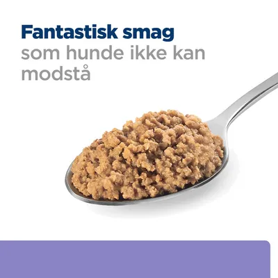 Fantastisk smag som hunde ikke kan modstå, tekst over ske med vådfoder til hunde