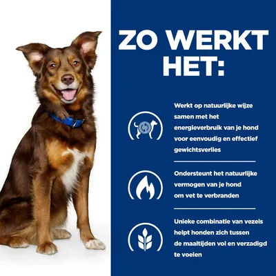 Tekst: Zo werkt het. Werkt op natuurlijke wijze samen met het energieverbruik van je hond voor eenvoudig en effectief gewichtsverlies. Ondersteunt vetverbranding. Unieke vezelcombinatie.
