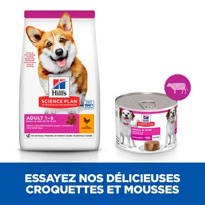 Hill's Science Plan croquettes Adult 1–6 Small & Mini jusqu’à 10 kg au poulet, boîte de mousse Small & Mini Adult jusqu’à 10 kg au bœuf. Texte : Essayez nos délicieuses croquettes et mousses.