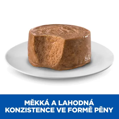 Mäkká a lahodná konzistencia vo forme peny – text v češtine na modrom pozadí pod obrázkom porcie paštéty na bielom tanieri.