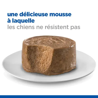 une délicieuse mousse à laquelle les chiens ne résistent pas