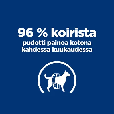 96 % koirista pudotti painoa kotona kahdessa kuukaudessa. Kuvassa koira ja mittanauha.