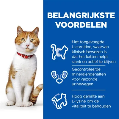 Belangrijkste voordelen: L-carnitine helpt katten slank en actief te blijven, gecontroleerde mineralengehalten voor gezonde urinewegen, hoog L-lysinegehalte voor vitaliteit.