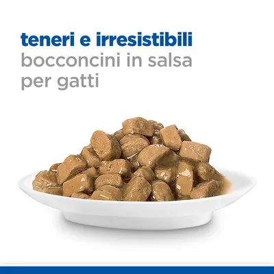 teneri e irresistibili bocconcini in salsa per gatti, piatto bianco con bocconcini marroni in salsa visibili