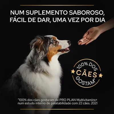 Num suplemento saboroso, fácil de dar, uma vez por dia. 100% dos cães gostam. 100% dos cães gostaram de PRO PLAN Multivitamins+ num estudo interno com 22 cães. 2021.