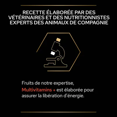 Recette élaborée par des vétérinaires et nutritionnistes experts. Fruits de notre expertise, Multivitamins + est élaborée pour assurer la libération d'énergie.