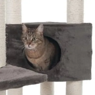 Kat i grå klatretræ-hule med sisalbeklædte stolper og blød overflade. Synlig åbning i hulen, kat kigger ud. Materialer: stof og sisal.