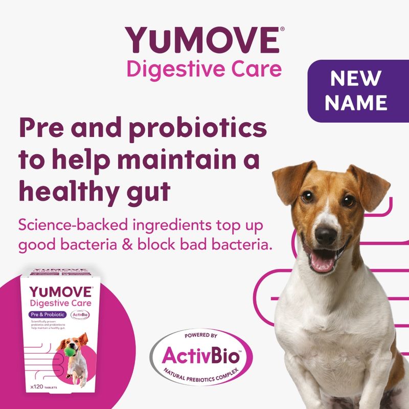 YuMOVE Digestive Care Pre- & Probiotic
