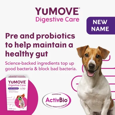 YUMOVE Digestive Care. New name. Pre and probiotics to help maintain a healthy gut. Science-backed ingredients top up good bacteria & block bad bacteria. Powered by ActivBio.