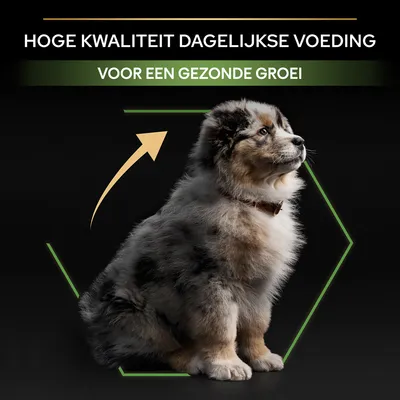 HOGE KWALITEIT DAGELIJKSE VOEDING, VOOR EEN GEZONDE GROEI