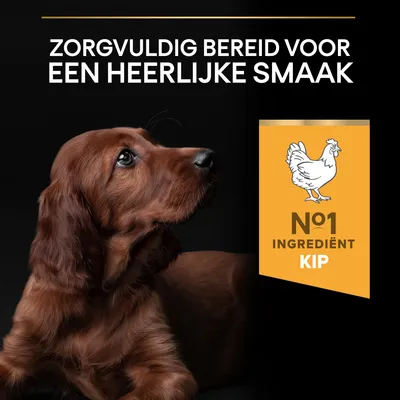 Zorgvuldig bereid voor een heerlijke smaak. Nº1 ingrediënt kip.