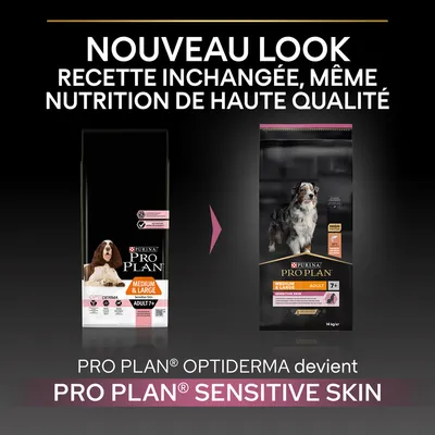 Annonce du nouveau look pour PURINA PRO PLAN Medium & Large Adult 7+ Sensitive Skin, anciennement OPTIDERMA ; recette inchangée, même nutrition de haute qualité. Deux sacs visibles.