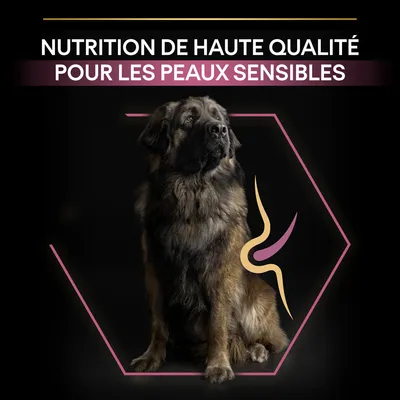 NUTRITION DE HAUTE QUALITÉ POUR LES PEAUX SENSIBLES, texte en haut de l’image avec un grand chien assis sur fond noir et un motif graphique près de son flanc.