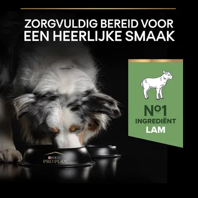 Purina Pro Plan hondenvoer, tekst: 'Zorgvuldig bereid voor een heerlijke smaak', groene label: 'Nr 1 ingrediënt lam' met afbeelding van een schaap. Hond eet uit bak.