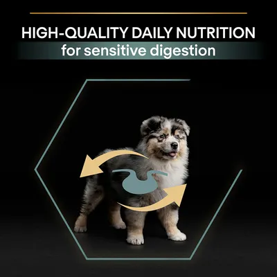 Κείμενο στα αγγλικά: HIGH-QUALITY DAILY NUTRITION for sensitive digestion. Κουτάβι με γραφικό βέλους και στομάχου μπροστά του.
