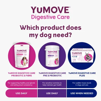 Comparison of YuMOVE Digestive Care products: Probiotic & Fibre for healthy anal glands and stool, Pre & Probiotic for sensitive tummies, Plus for sudden loose stools. Usage guidance shown.