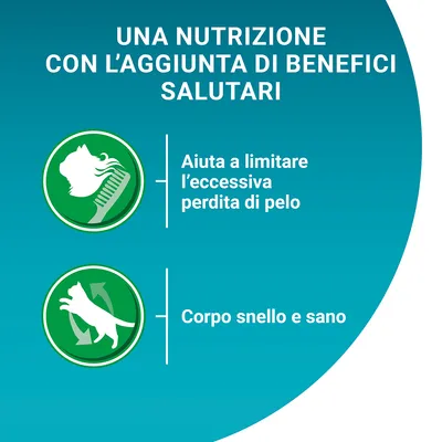 UNA NUTRIZIONE CON L’AGGIUNTA DI BENEFICI SALUTARI. Aiuta a limitare l’eccessiva perdita di pelo. Corpo snello e sano.