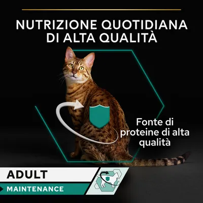 Nutrizione quotidiana di alta qualità, fonte di proteine di alta qualità. Adult Maintenance.