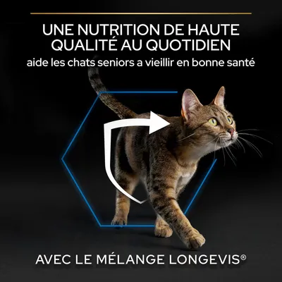 UNE NUTRITION DE HAUTE QUALITÉ AU QUOTIDIEN aide les chats seniors à vieillir en bonne santé. AVEC LE MÉLANGE LONGEVIS®