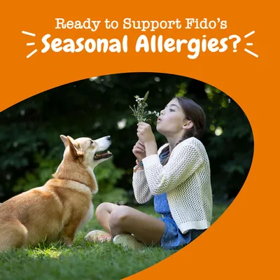 Text reads: Ready to support Fido’s seasonal allergies? Image shows a dog outdoors with a person holding flowers, suggesting allergy support for pets.