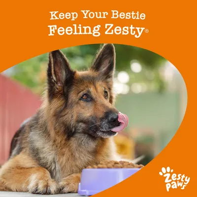 Text: Keep Your Bestie Feeling Zesty. Zesty Paws. Pes leží u misky s granulemi, oranžové pozadí s logem značky Zesty Paws.