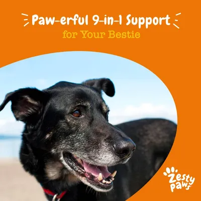 Paw-erful 9-in-1 support for your bestie. Zesty Paws.