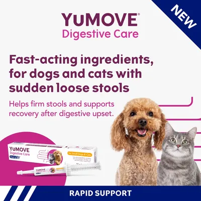 YuMOVE Digestive Care for dogs and cats with sudden loose stools. Fast-acting ingredients help firm stools and support recovery after digestive upset. Rapid support.