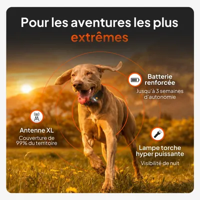 Antenne XL avec une couverture de 99 %, batterie renforcée offrant jusqu'à 3 semaines d'autonomie, lampe de poche très puissante pour la vision nocturne. Pour des aventures extrêmes.