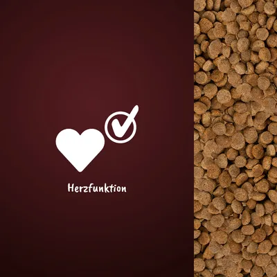Symbol eines Herzens mit Häkchen und Text 'Herzfunktion' neben einer Nahaufnahme von braunen Kroketten.