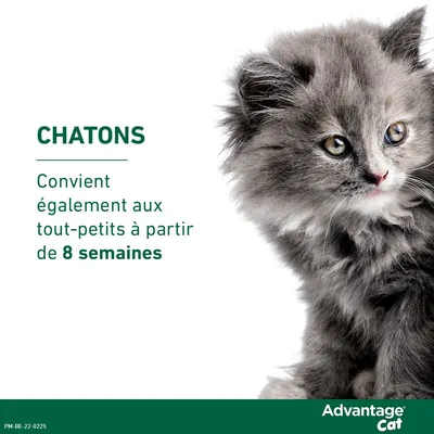 Advantage® 40 pour chat et lapin < 4 kg