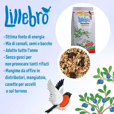 Lillebro. Ottima fonte di energia, mix di cereali, semi e frutti di bosco, adatto tutto l'anno, senza gusci, mangime da offrire in distributori, mangiatoie, casette per uccelli o sul terreno.