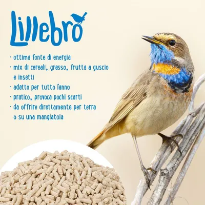 Lillebro. Ottima fonte di energia, mix di cereali, grasso, frutta a guscio e insetti, adatto per tutto l'anno, pratico, provoca pochi scarti, da offrire per terra o su una mangiatoia.