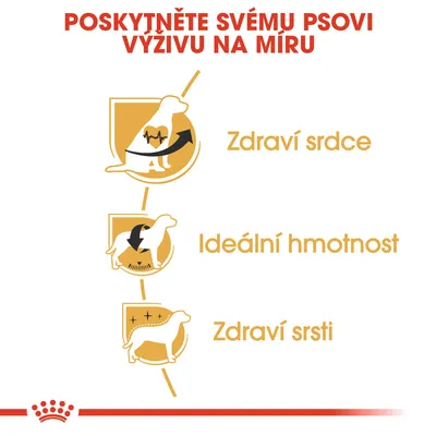 Poskytněte svému psovi výživu na míru. Zdraví srdce, ideální hmotnost, zdraví srsti – tři hlavní benefity zobrazené ikonami psa.
